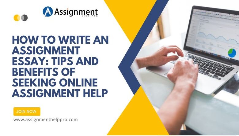 How to Write an Assignment Essay